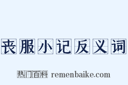 丧服小记反义词是什么意思的图片
